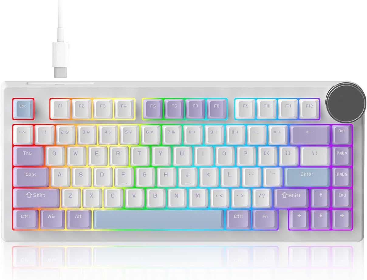AK820 V2 8KHz Magnetic Mechanical Keyboard Bingyu Hall Effect Rapid Trigger