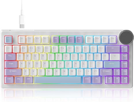 AK820 V2 8KHz Magnetic Mechanical Keyboard Bingyu Hall Effect Rapid Trigger