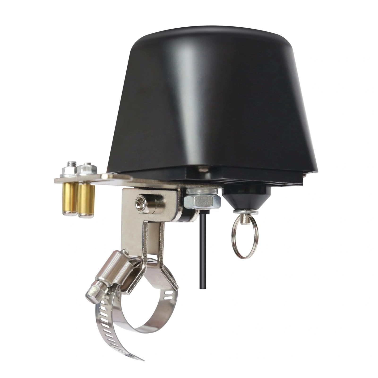 Contrôleur de vanne de chauffe-eau à gaz intelligent RQF-1T EU compatible Alexa