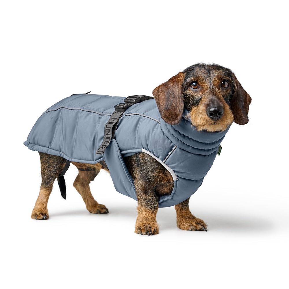 HUNTER Hundemantel Paxson Dachshund, Farbe: taubenblau, wasserabweisend & warm gefüttert, idealer Wetterschutz, reflektierend, für kleine Hunde mit langem Rumpf, Größe: 40