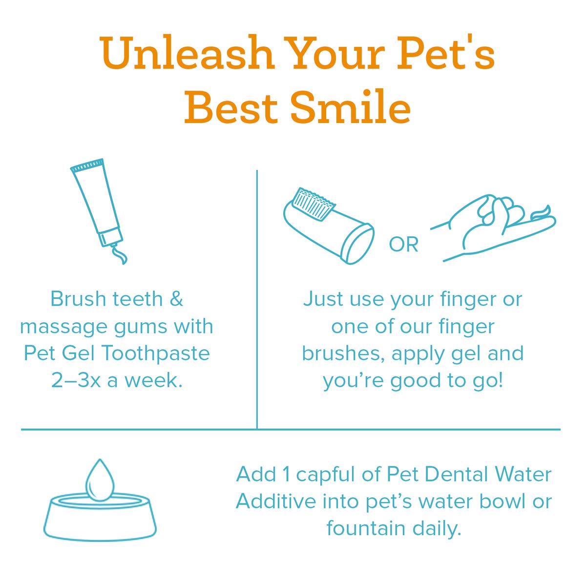 Buy Oxyfresh Premium Pet Dental Kit for Dogs & Cats Easy Solution for