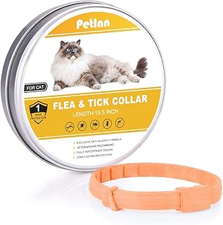 Amazon Fr Collier Anti Puces Pour Chat
