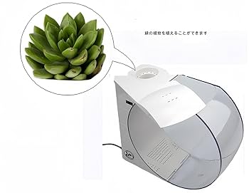 ⭐️限定1品⭐️ インテリジェント散水装置 インテリア 水槽 自宅 4-2708-02 LED＆フィルター付オールインワン水槽セット