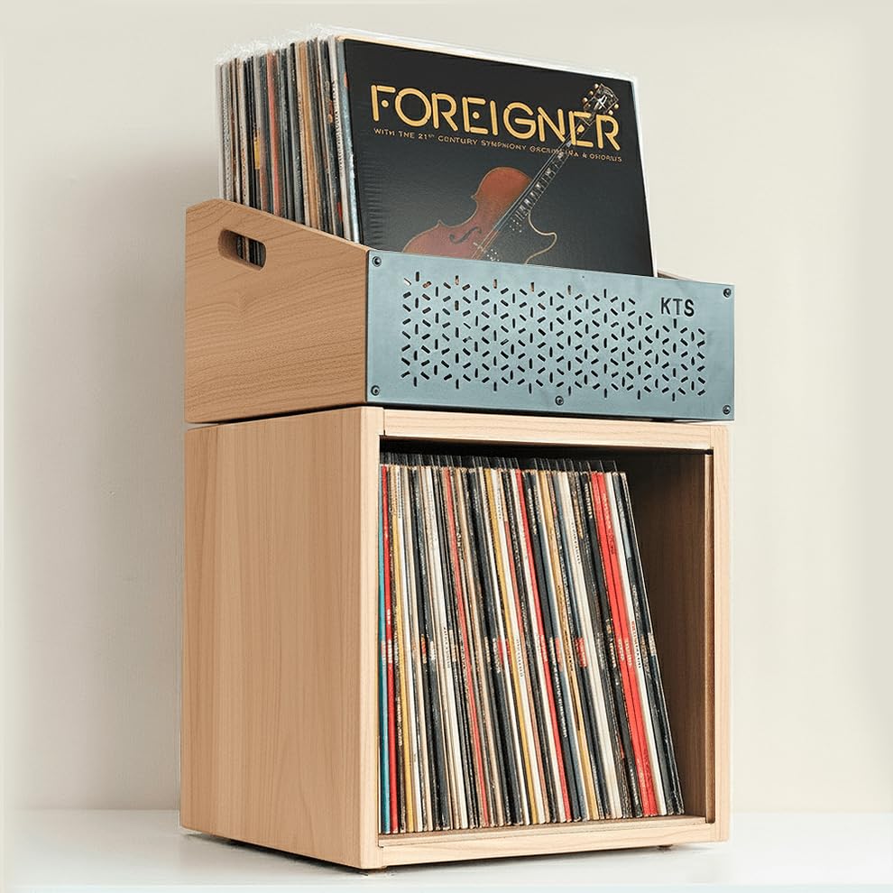 Meuble modulaire pour disques vinyles | Étagère pour 120 LPs | Rangement empilable et extensible | Support pour vinyles | Organisateur de vinyles | Meuble pour collection musicale