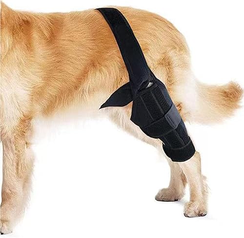 AEGWYNNR Rodillera para perro, soporte para pierna para ACL ACL, pata trasera o pierna trasera, soporte CCL pata trasera (S)