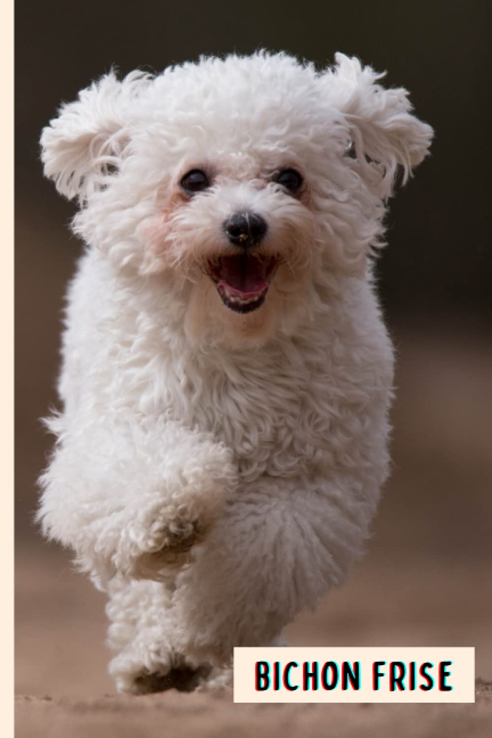 Bichon Frise: Composition Notebook For Bichon Frise Dogs Lovers , Bichon Frise Lined Journal ,6x9 Inches , 110 Pages ,Bichon Frise Diary