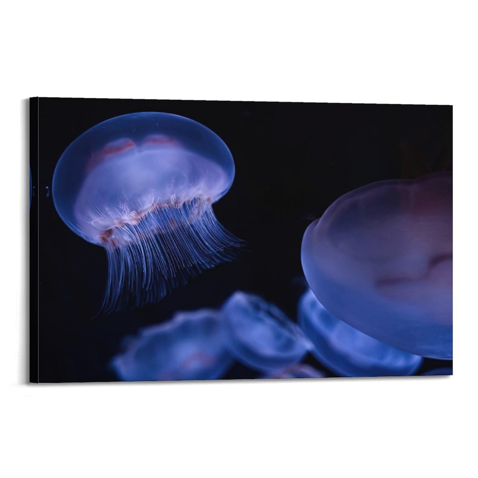 MJZLQN Marine Animal Poster Beautiful Moon Jellyfish Poster Decorative Painting Canvas Wall Posters And Art Picture Print Modern Family Bedroom Decor Posters 20x30inch(50x75cm)