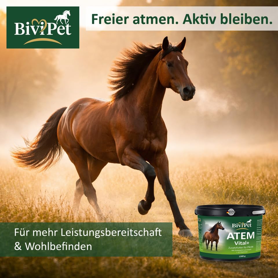 Atem Vital+ für Pferde – bei Husten & Belastung – 1,3 kg – mit natürlichem Eukalyptol & 12 Vitaminen – Atemwege & Bronchien Unterstützung – inkl. Dosierlöffel & Eimer mit Henkel