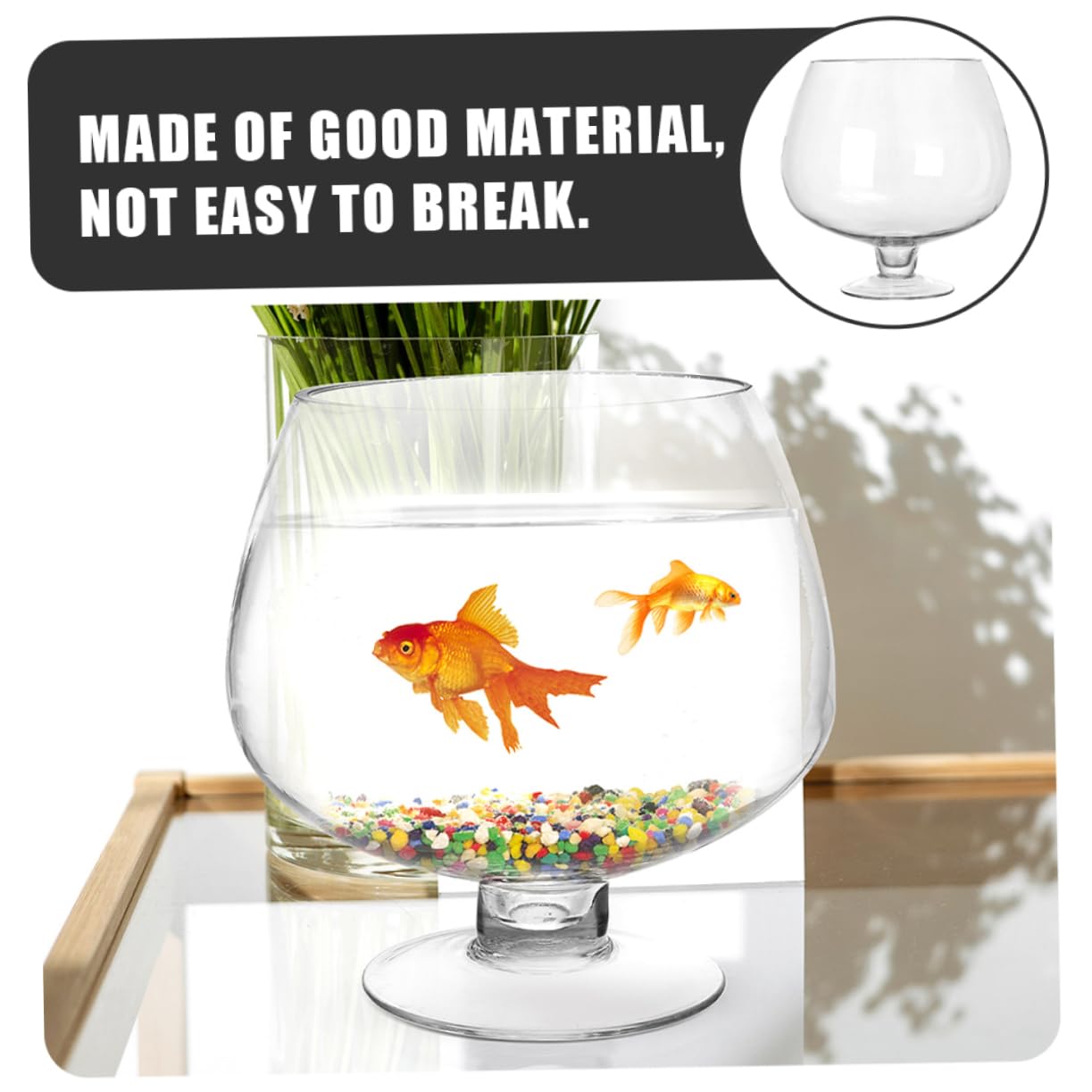 Amazon.co.jp: BUTIFULSIC ワイングラスの水槽 エアプランツ