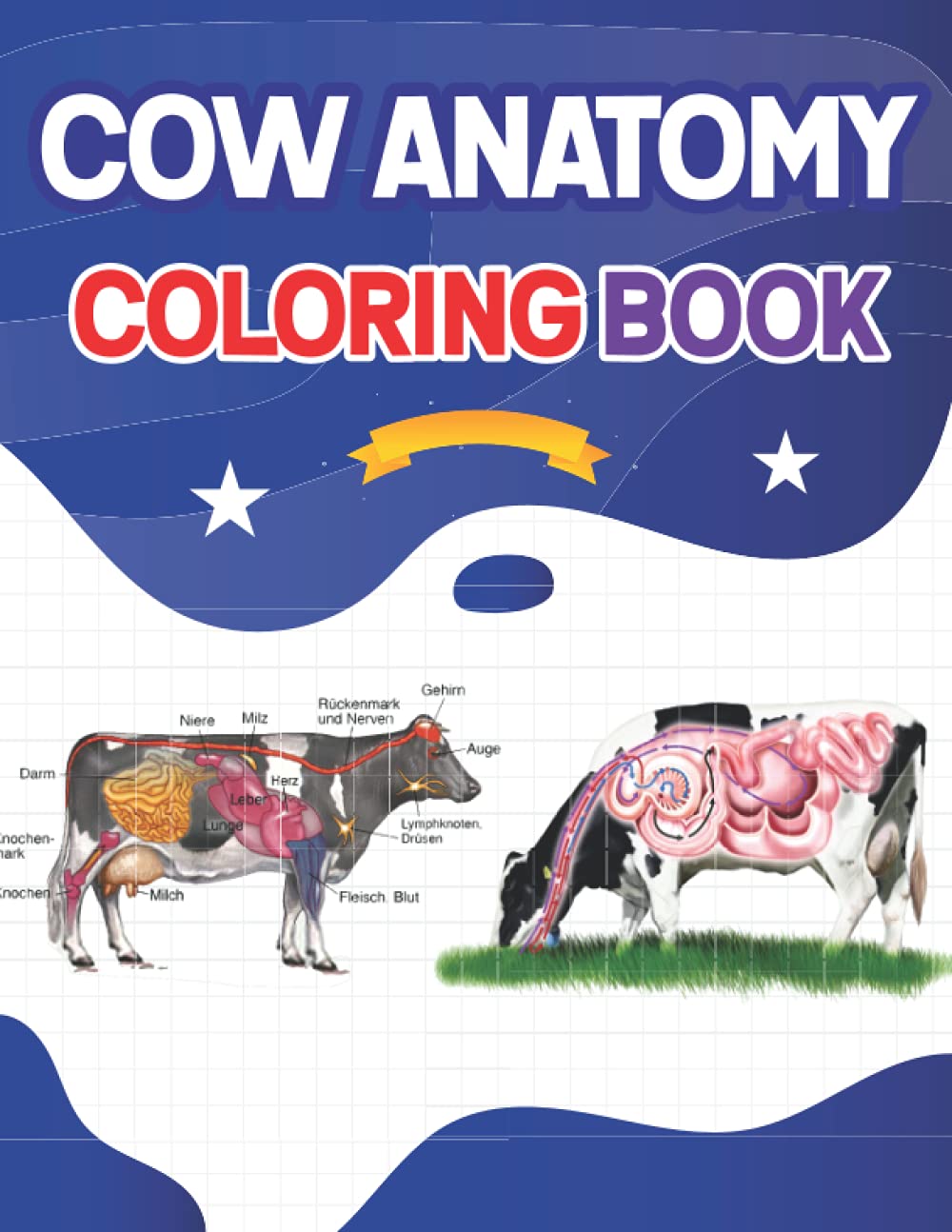 Cow Anatomy Coloring Book: Animals Physiology Self-Quiz Coloring Workbook for Studying and Relaxation | Anatomy Magnificent Learning Structure for ... Anatomy Coloring Workbook for Boys & Girls.