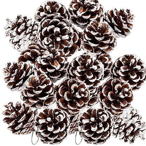 Natural Pine Cones 25pcs Rustic Snow Pine Cones with String - Winter Holiday Hanging Ornament for Xmas Tree Gift Tag Party Decoration (4-5cm)