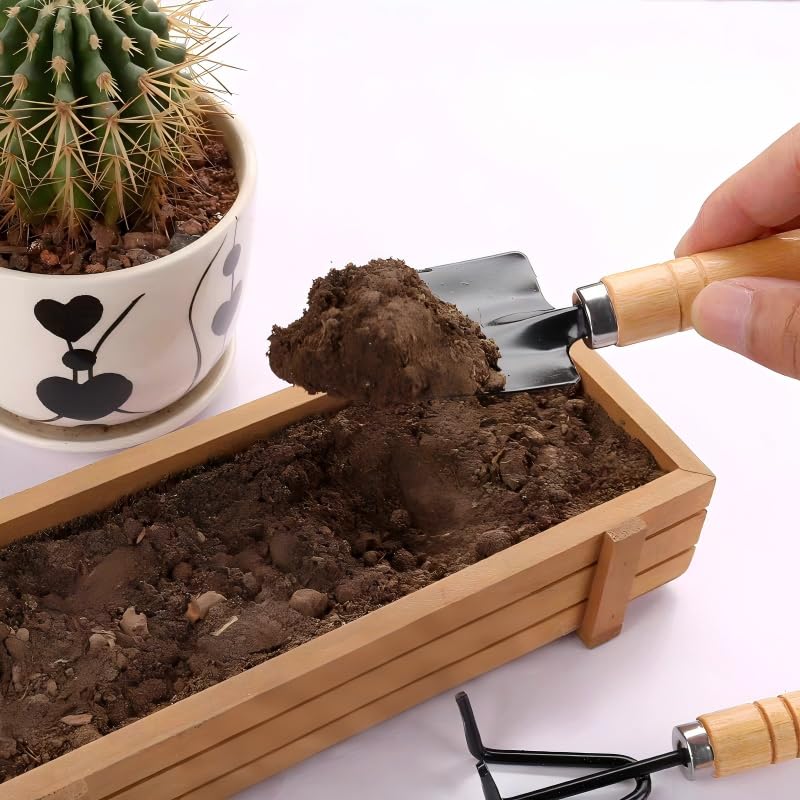 Set Mini Jardinería 3 Piezas Herramientas para Suculentas miniatura 5