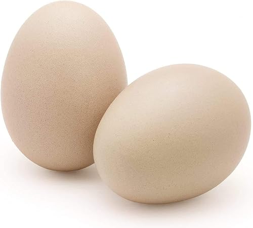 Miniatura 9 de SunGrow Huevos de madera falsos para entrenar a las aves de la colocación en las cajas de anidación y para dejar de comer huevos propios, color