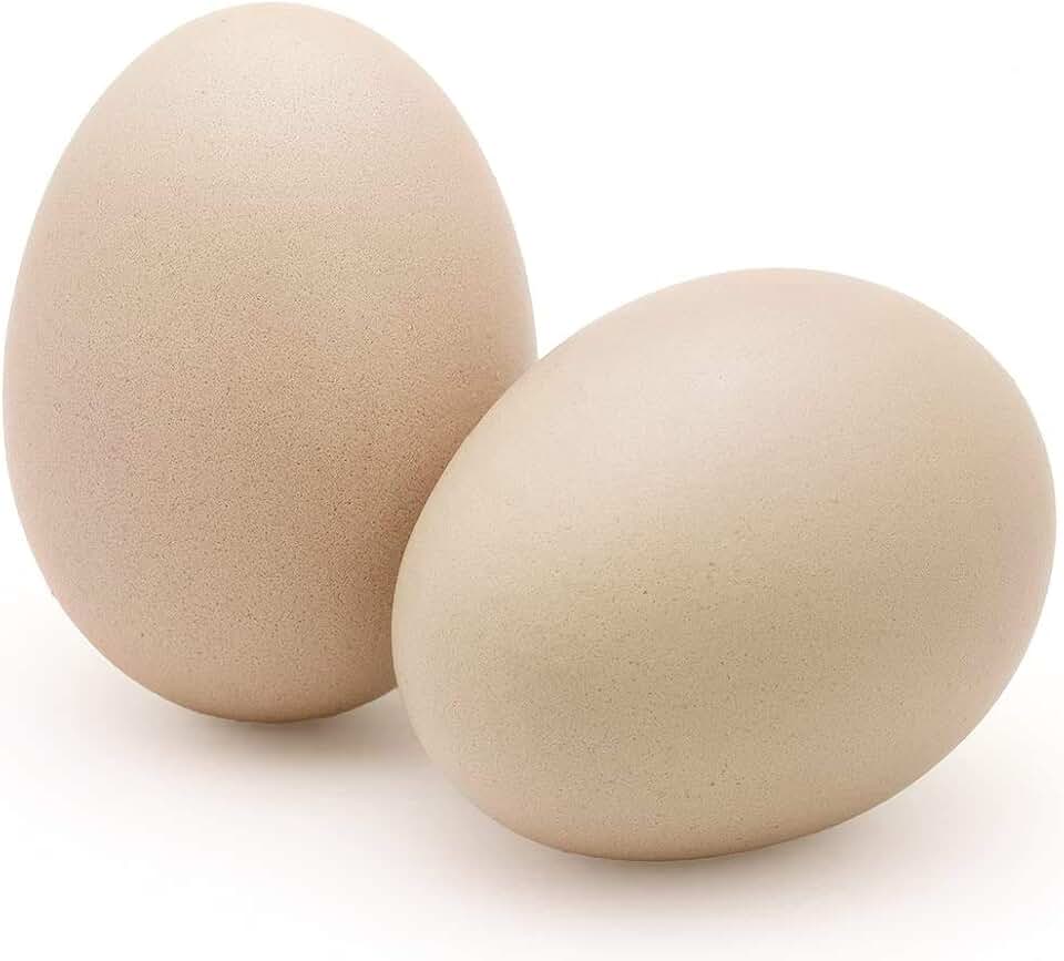 artificial chicken eggs