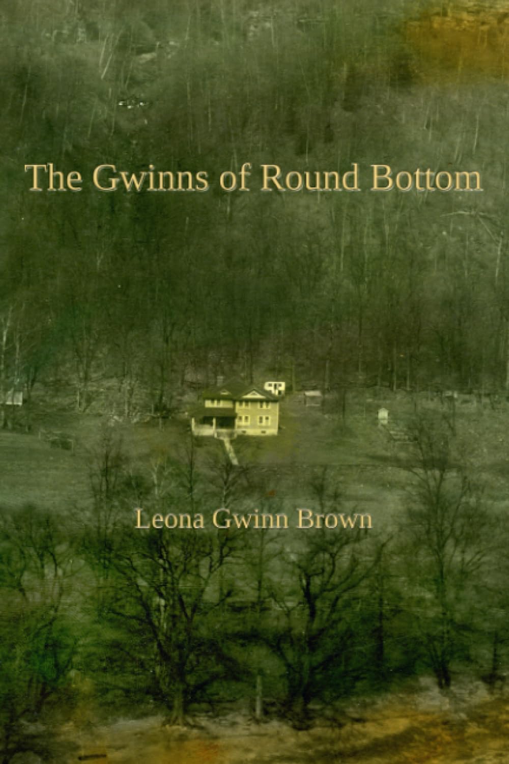 The Gwinns of Round Bottom