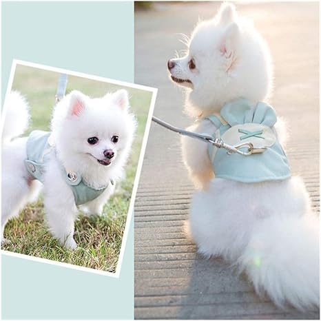 Pomeranian puppy harness Clearance