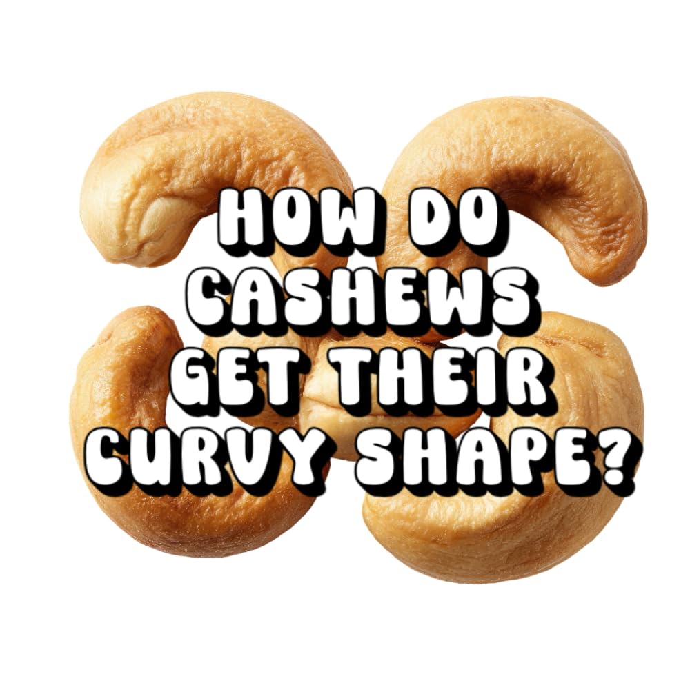 How Do Cashews Get Their Curvy Shape?