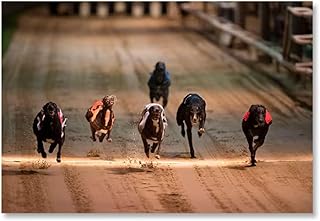 Hd Prints Greyhound Poster Racing Canvas Painting Wall Art Animal Prints Dog Run Wall Art Picture for Living Room Home Dec...