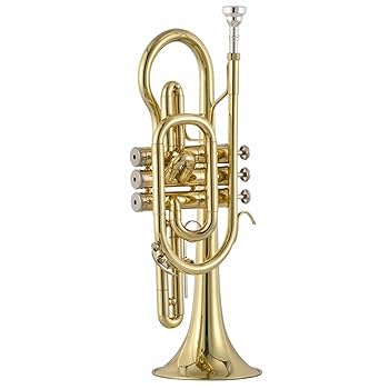 Amazon | ランペット トランペット コルネット 楽器 プロ仕様