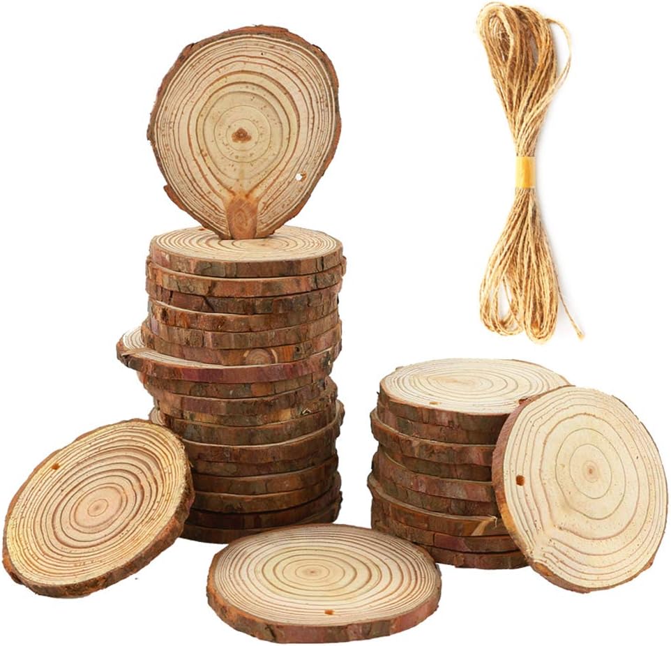 WFPLUS 30 Pcs Unfinished Natural Wood Slices, Craft Wood kit Predrilled with Hole Wooden Circles for DIY Craft Christmas Rustic Wedding Ornaments