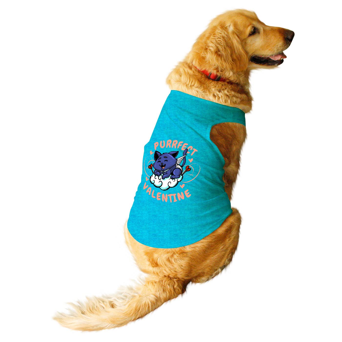 See full amazon price history chart for Ruse Pet Purrfect Valentine Printed Dog Round Neck Sleeveless Vest Tank T-Shirt/Tees Apparel/Clothes/Tees Gift for Dogs/Steel Blue/L (Desi/Stray, Doberman etc.) Ruse Pet Purrfect Valentine Printed Dog Round Neck Sleeveless Vest Tank T-Shirt/Tees Apparel/Clothes/Tees Gift for Dogs/Steel Blue/L (Desi/Stray, Doberman etc.) (B0BT1WMGBJ) Amazon Price History, Amazon Price Tracker