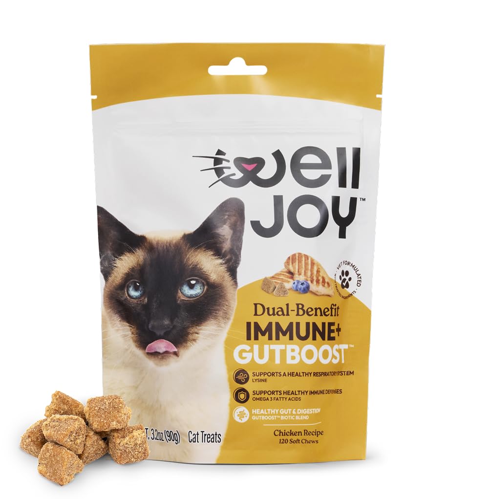 Amazon.com : WellJoy Immune Cat Treat + Lysine, Omega-3, GutBoost