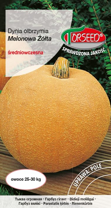 Verdica Melonowa Żółta Semillas de calabaza gigante Cucurbita maxima – Medio-temprano, 25-30 kg de frutas macizas, multicolor vivo, ventana de siembra de primavera óptima, excelencia de alto