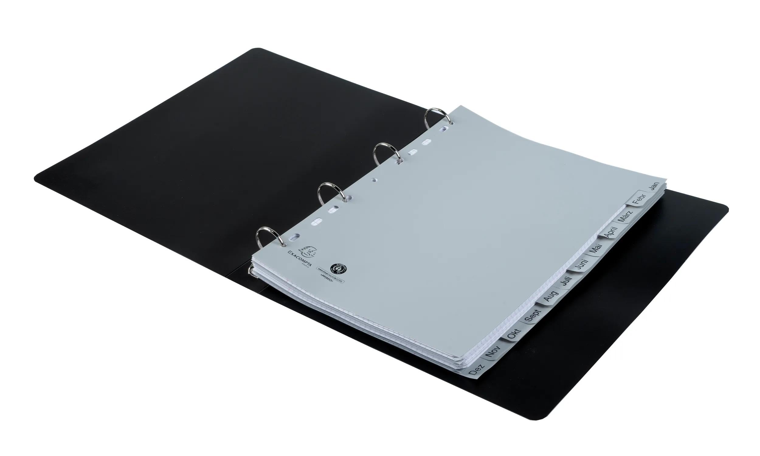 Exacompta - Ref. 1812B – Caja de 25 separadores impresos mensuales PP reciclado gris – Januar-Dezember(alemán) – 12 posiciones – A4 – Gris
