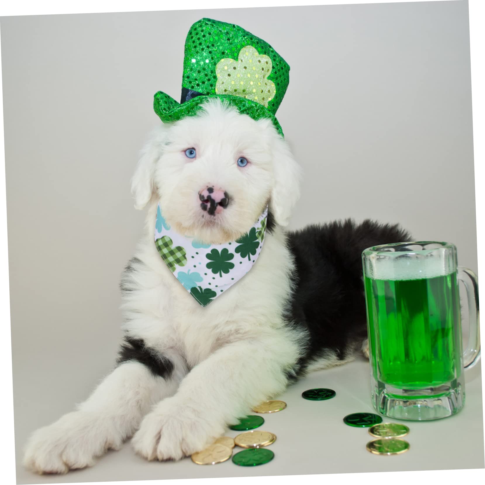 Angoily 12pièces Bandanas pour Chiens Écharpes Créatives Et Adorables pour Animaux De Compagnie Accessoires Chics pour Chiens Et Chiots Idéales pour Événements Spéciaux Et