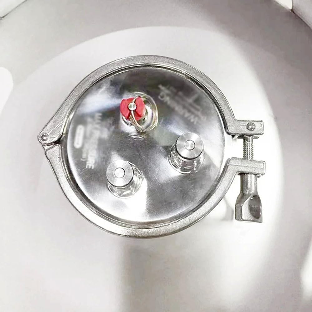 Fusto for Vino, Argento 30/58L 1/2 BBL, Serbatoio for Birra Artigianale in Acciaio Inossidabile 304(30L Just Keg Only)