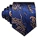 Barry.Wang Paisley Tie Fashion Set Hanky Cufflinks Neckties for Men Woven Silk