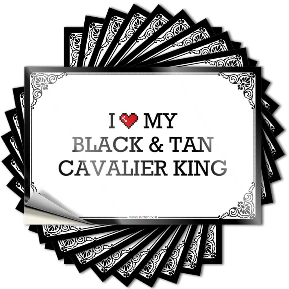 Western Saying Aesthetic Decals, Vintage Bar Decor Cute Pattern Design for Mold Notebook | Helmet Removable Vinyl I Love My Black & Tan Cavalier King(12X18CM)