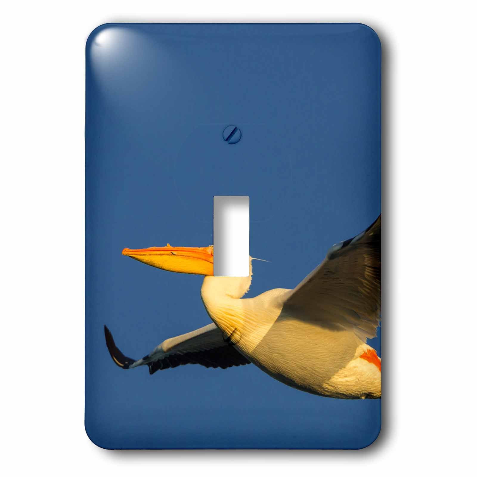 American White Pelican interrupteur pour remplacer une plaque murale terne