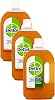 Dettol Antiseptic First Aid Disinfection Liquid 750ml (Pack of 3)