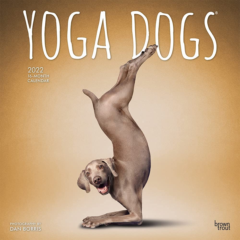 Yoga Dogs OFFICIAL 2022 12 x 12 Inch Monthly Square Wall Calendar, Animals Humor Pets