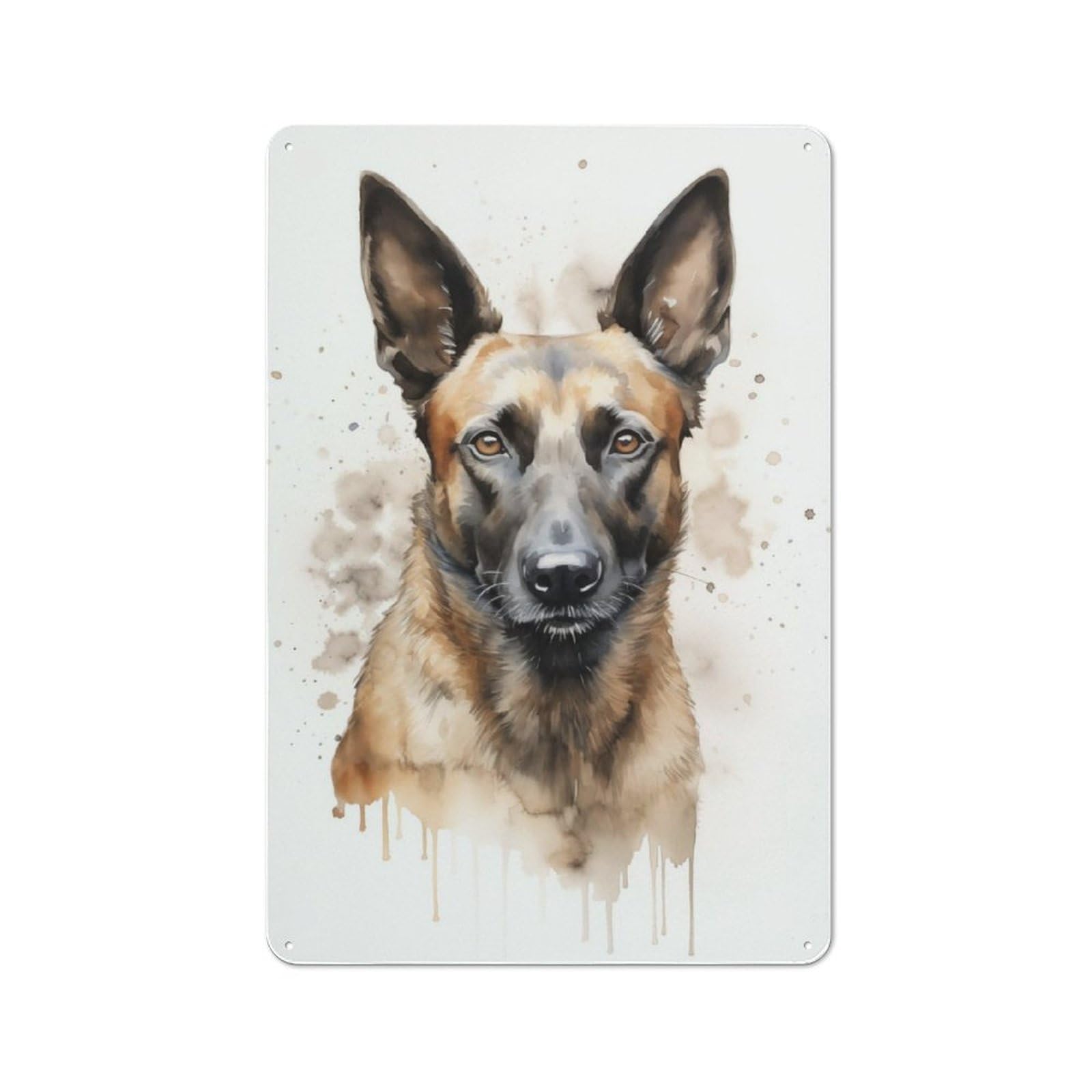 Junmoney Belgian Malinois Portrait Rustic Metal Wall Sign 30X20cm For Home Office Or Studio, For Garage, Workshop And Man Cave Decoration