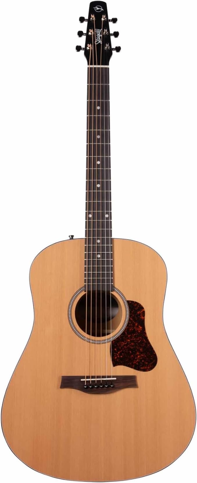 S6 Original DREADNOUGHT Acoustic Guitar, Rosewood Fingerboard, Custom SEMI-Gloss