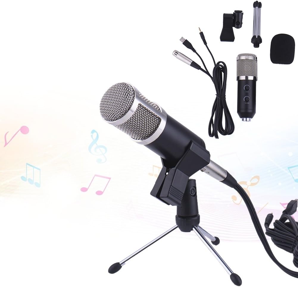 LianLe BM100 USB Reverb Microphone Condenser Mic Sound Studio for Recording, Silver Steel Net