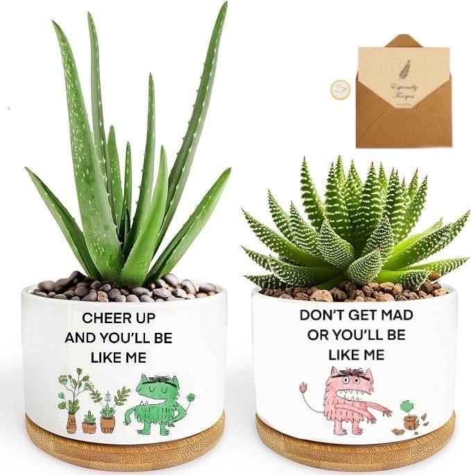 Funny Succulent Pots with Bamboo Tray,planters for Indoor Plants. Funny Plant pots with Cute Emotional Character, Gifts for Friends, Plant Lover Gifts, Pack of 2 - Plants Not Included