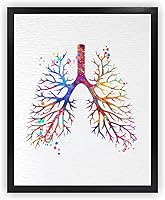Vista 1 de Dignovel Studios 8X10 sin marco pulmonar anatomía humana acuarela arte impresión cartel ciencia médica inauguración casa giclée oficina decoración
