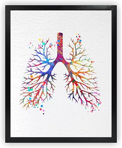 Dignovel Studios 8X10 sin marco pulmonar anatomía humana acuarela arte impresión cartel ciencia médica inauguración casa giclée oficina decoración