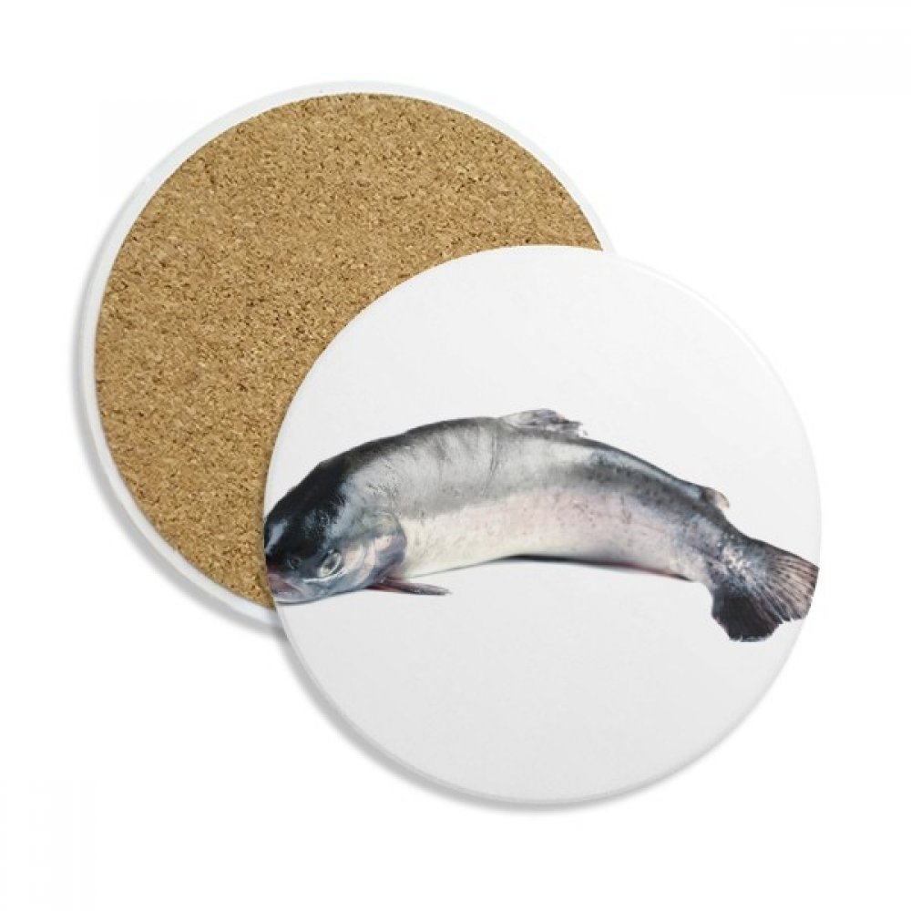 Dessous de verre en céramique absorbante motif océan vivant et poissons multicolores