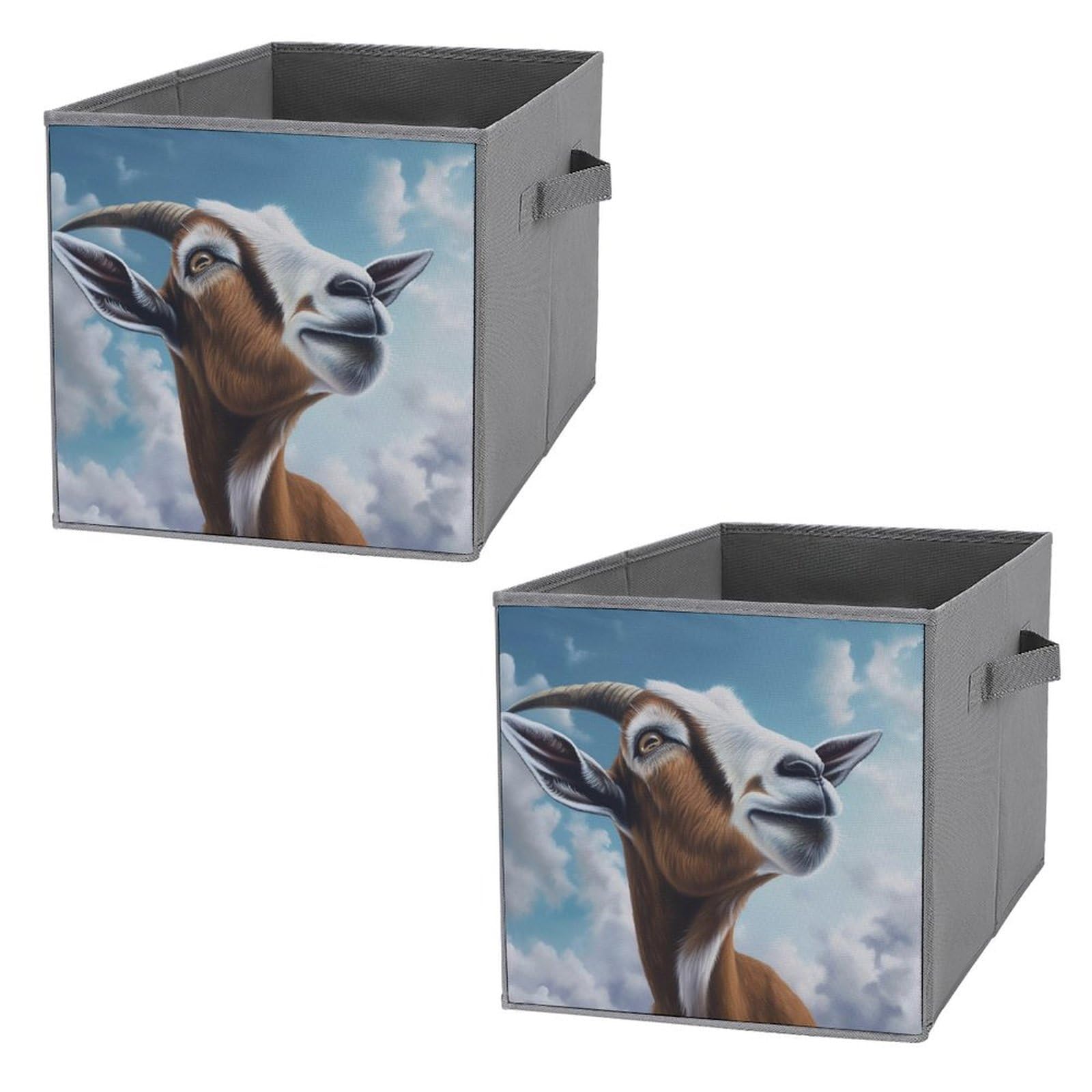 Rangement vêtement efficace via ce lot de 2 boîtes chèvre bleue 28cm