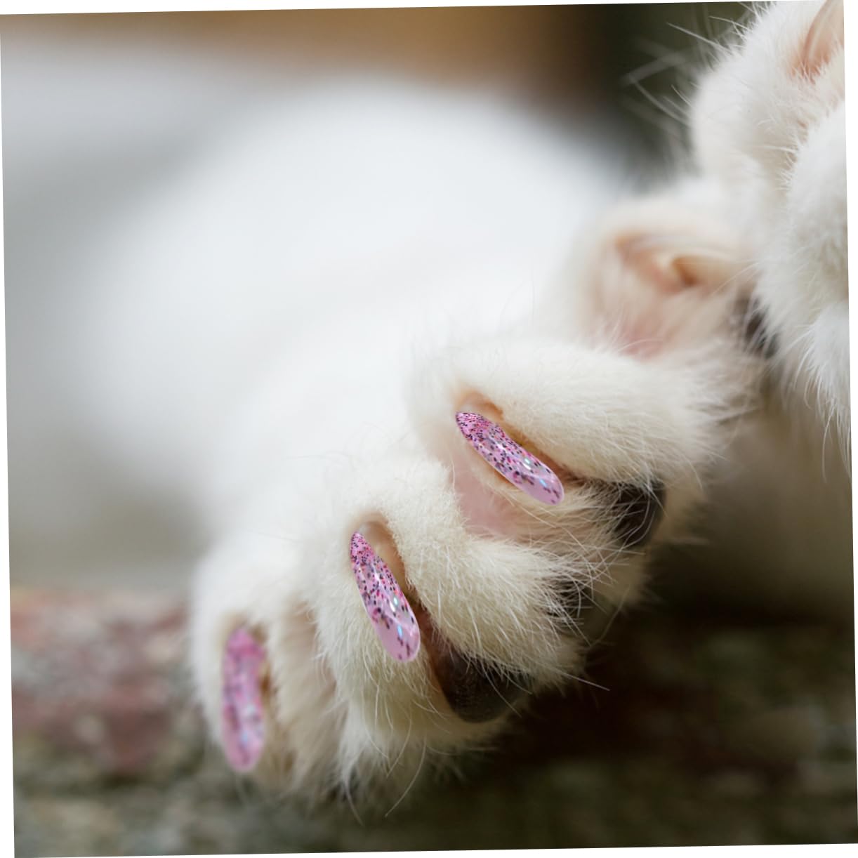 BESPORTBLE 300stücke Katzenkrallenabdeckungen Natürlichem Rutschfester Krallenschutz Für Katzen Und Kätzchen Sanfte Krallenpflege Und Für Unterwegs