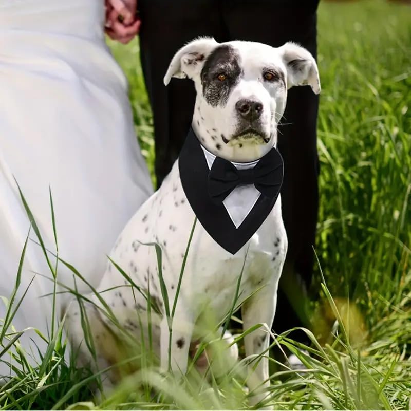Smoking-Halstuch für Hunde – Eleganter Hundekragen für Hochzeit, Geburtstag & Fotoshooting – Verstellbarer Haustier-Schal im Anzugstil – Festliches Hundeaccessoire (Smoking Schwarz/Weiß, M)
