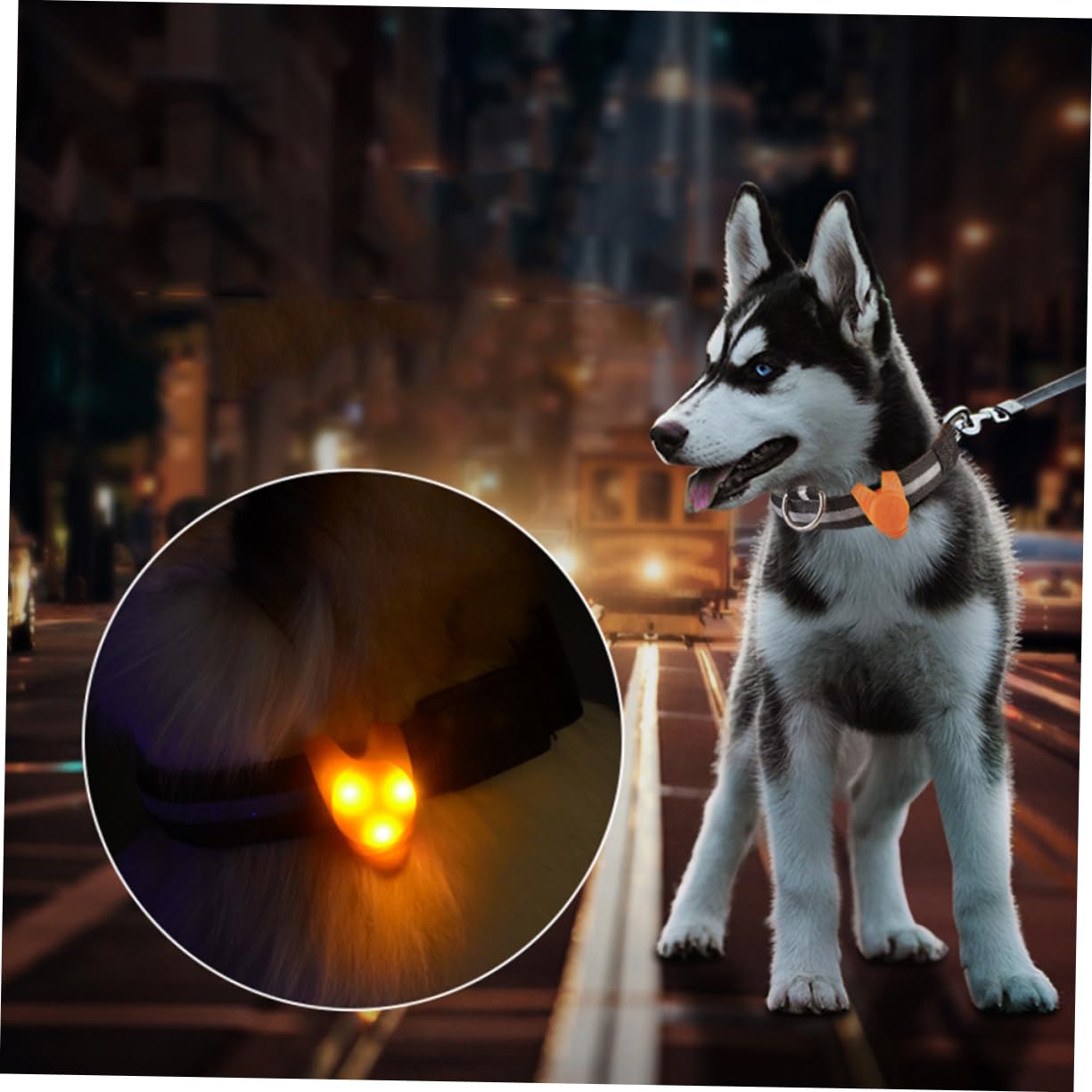 Milisten 3paquetes Collar Led Para Perro y Ligero Pack De Colgantes Iluminación Rojo Verde Rosa Azul y Naranja Para Paseos Nocturnos y Seguridad De Mascotas