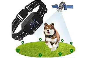 2023 Portable Invisible Fence System for Dogs