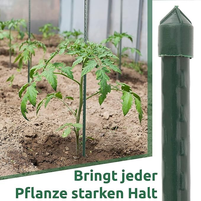 Suinga Lot de 50 Tuteur en Bambou plastifié 150 cm, 12-14 mm, Tubes en Bambou pour Plantes et Arbres, Baguettes de Bambou, Canne de Bambou