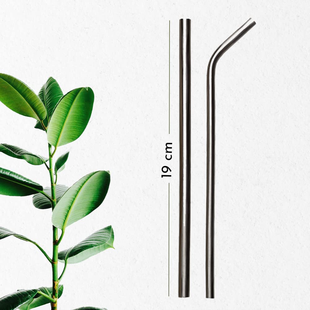 Sarveda Stainless Steel Straws | Re-usable & Eco-Friendly Suitable for Kids & Adults (Pack of 2) 2