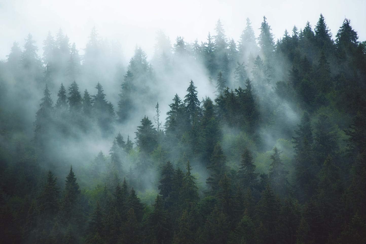 YISURE Misty Forest Tapestry, Foggy Tree Wall Hanging Tapestries Nature Pine Woodland Wall Art for Bedroom Living Room 80‘’W x 60''L - Image 3